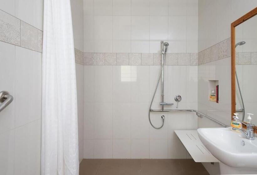 פנסיון Fitzpatricks Inn