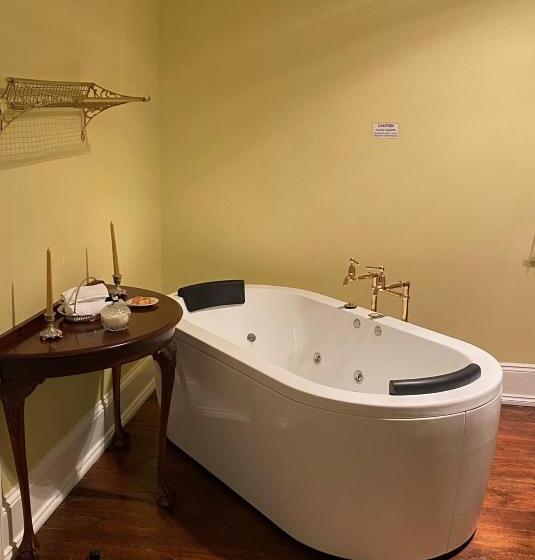 פנסיון Fitzpatricks Inn