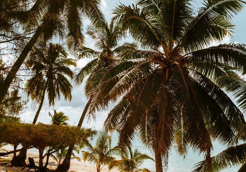 استراحتگاه Tamanu Beach