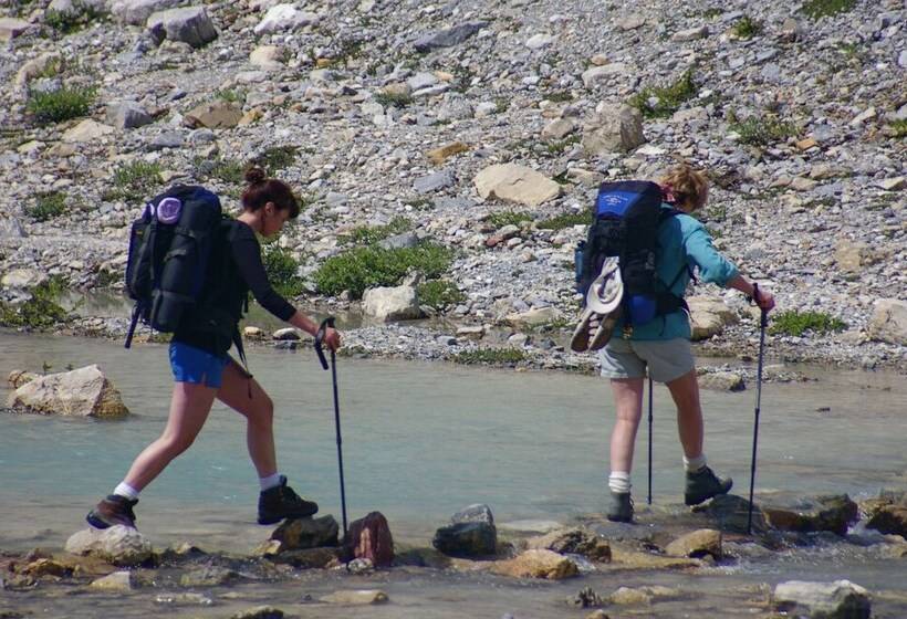 אתר נופש Vagabond Lodge At Kicking Horse