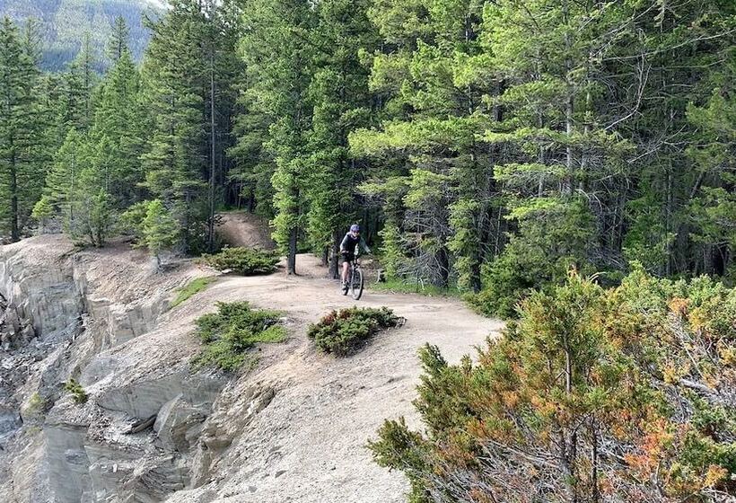 אתר נופש Vagabond Lodge At Kicking Horse