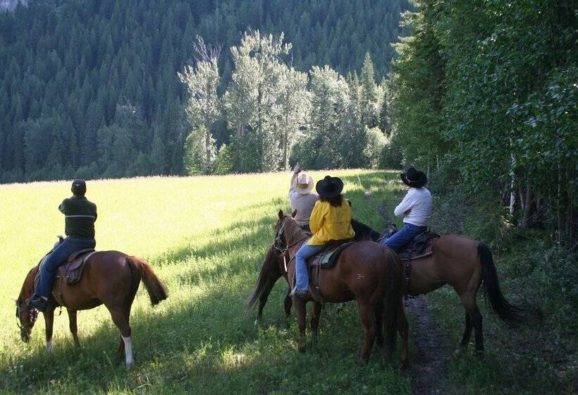 אתר נופש Vagabond Lodge At Kicking Horse