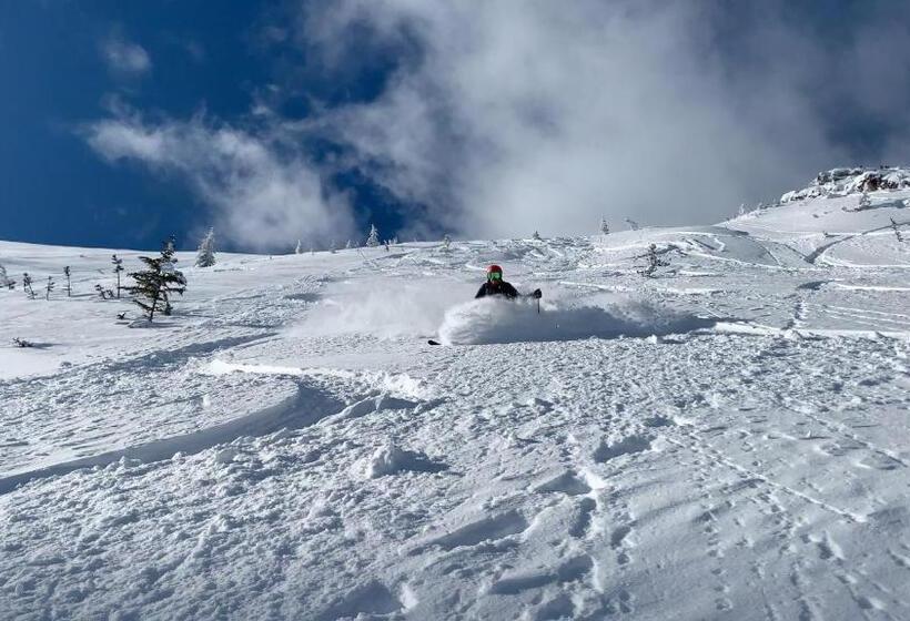 אתר נופש Vagabond Lodge At Kicking Horse