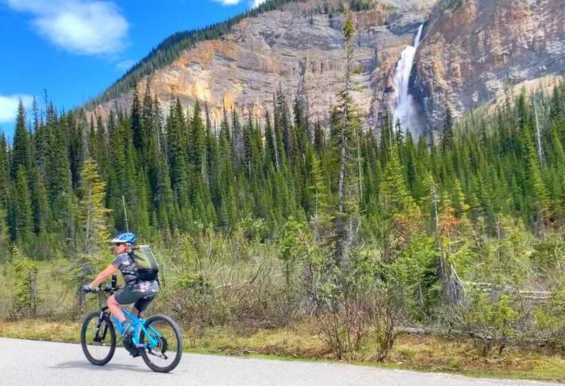 אתר נופש Vagabond Lodge At Kicking Horse
