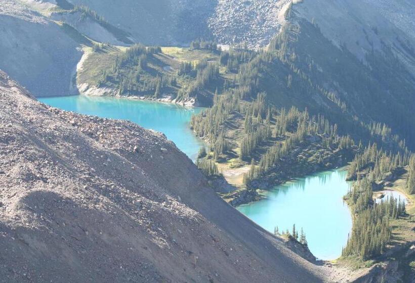 אתר נופש Vagabond Lodge At Kicking Horse