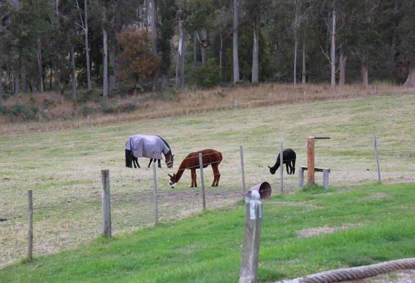 Sherwood View Accommodation
