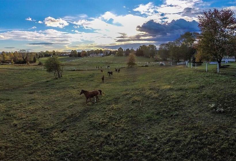 The Inn At Westwynd Farm B&b