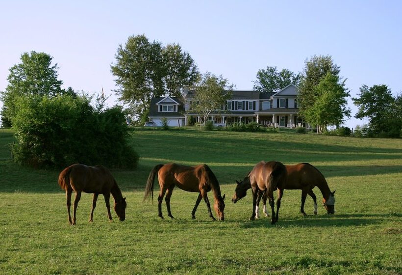 The Inn At Westwynd Farm B&b