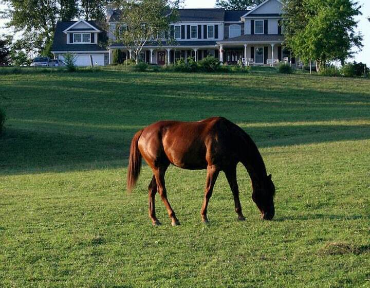 The Inn At Westwynd Farm B&b