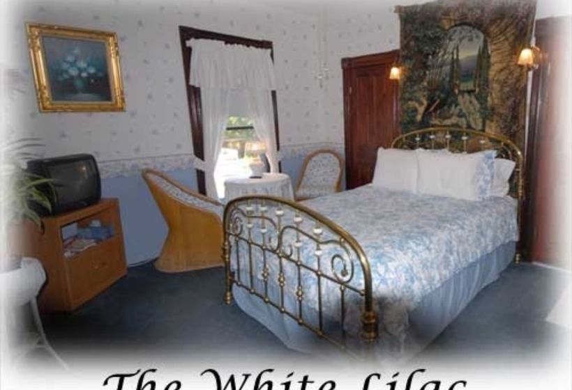 The Lion & The Rose B&b