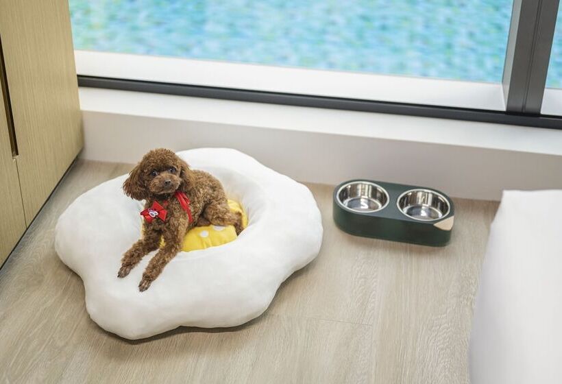 هتل Hyatt Place New Taipei City Xinzhuang