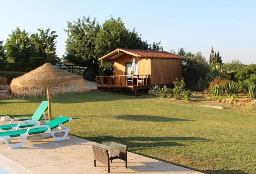 Общежитие Quinta Saleiro Guesthouse