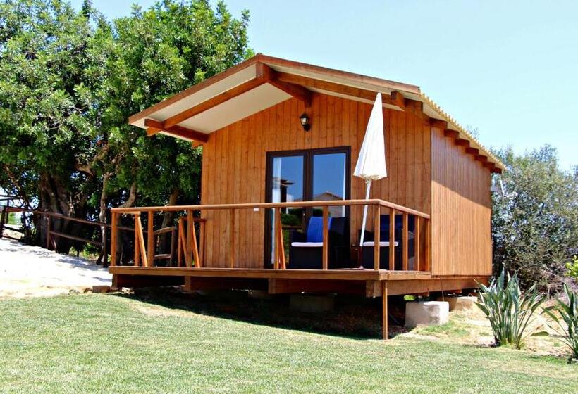 Общежитие Quinta Saleiro Guesthouse