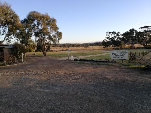 旅馆 Swansea Backpackers