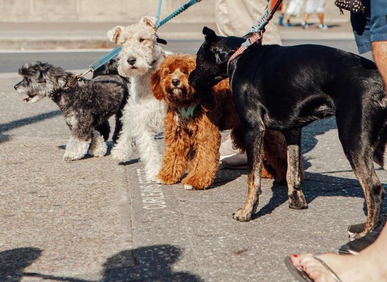 호스텔 Wake Up! Bondi Beach