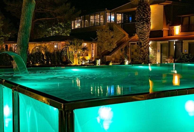 Assos Hunters Hotel Special Class