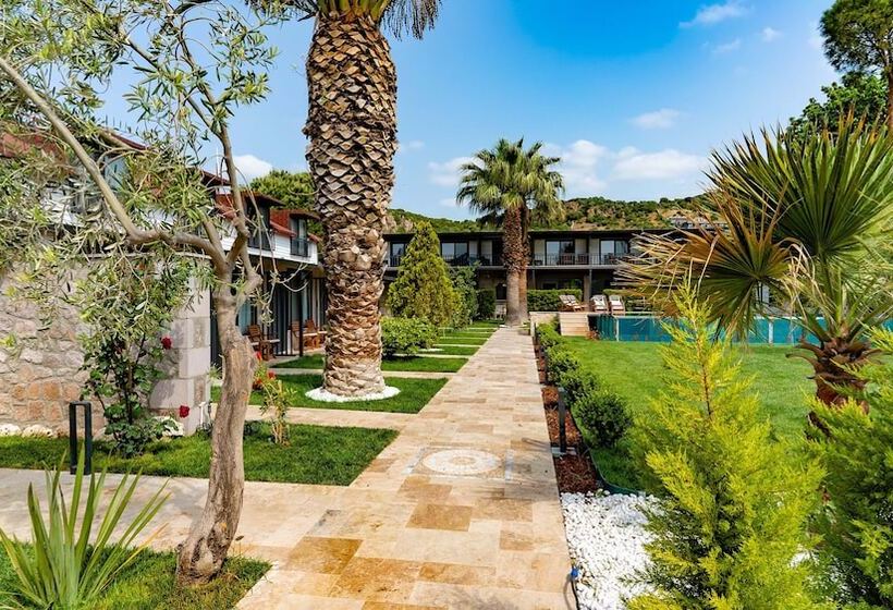 Assos Hunters Hotel Special Class