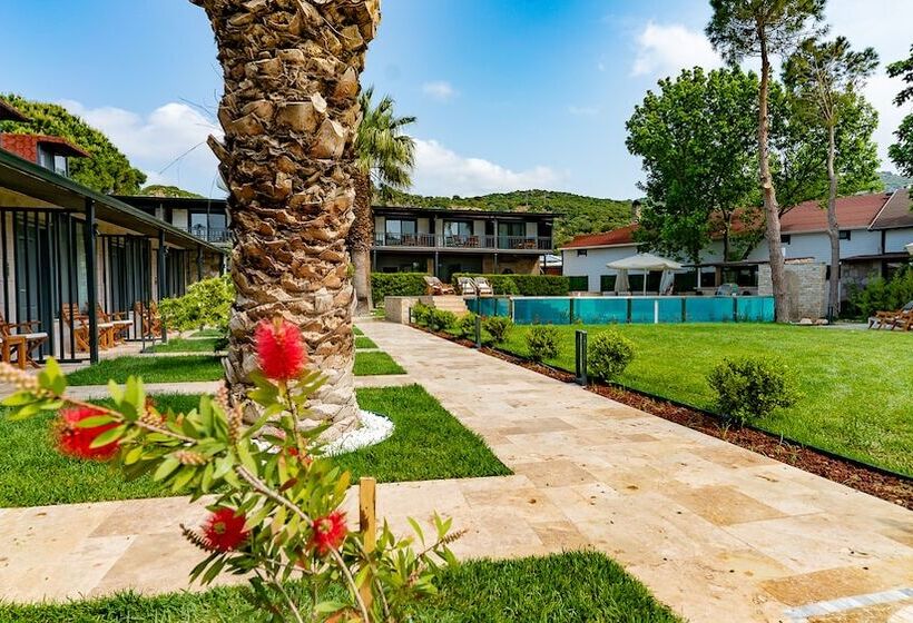 Assos Hunters Hotel Special Class