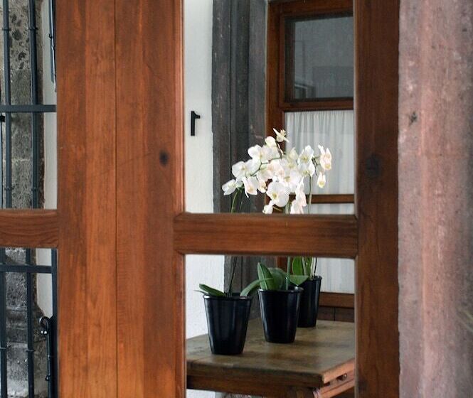 住宿加早餐  Casa De Los Olivos