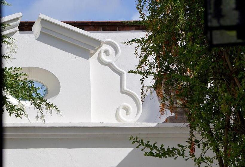 住宿加早餐  Casa De Los Olivos