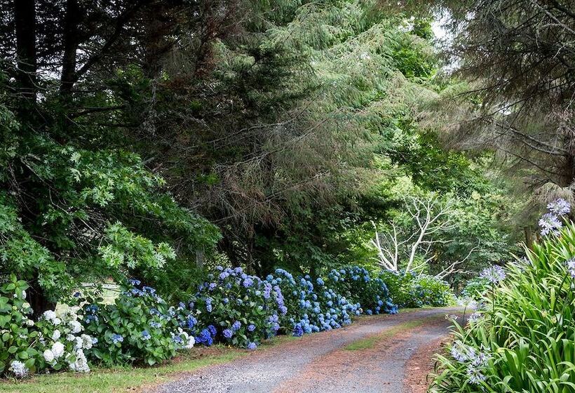 Bed and Breakfast Doolan S Country Retreat Adults Only