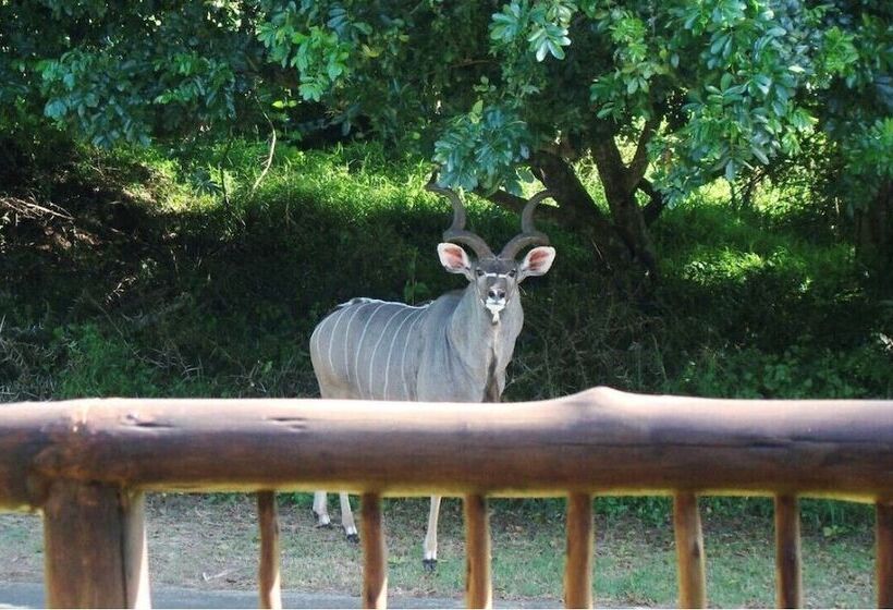 צימר Leopard Corner Lodge