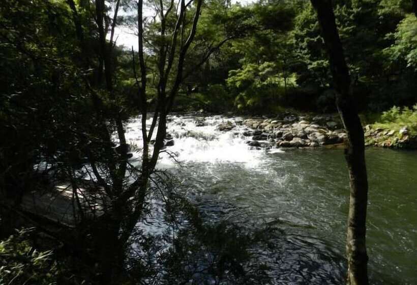 تختخواب و صبحانه Puketotara Lodge