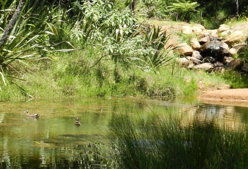 تختخواب و صبحانه Puketotara Lodge