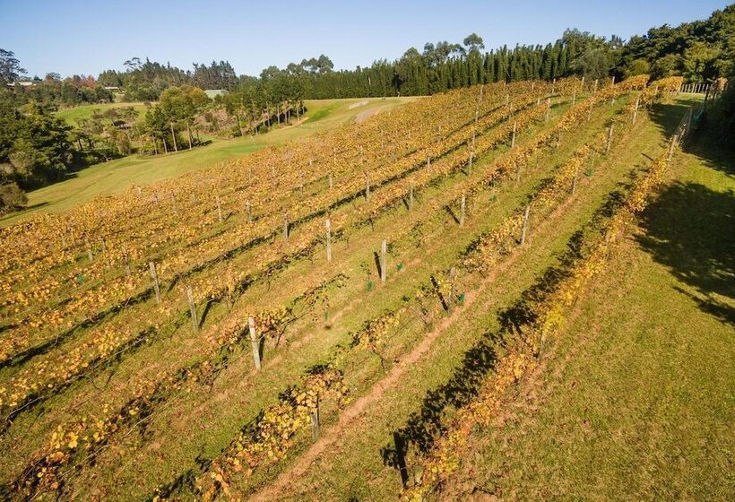 تختخواب و صبحانه Puketotara Lodge