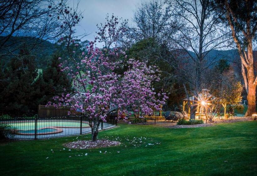 Bright Mystic Valley