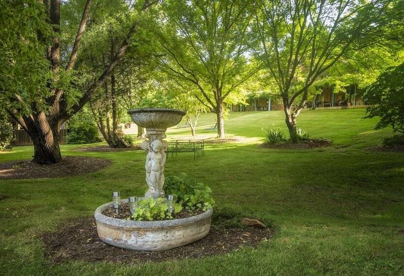 Bright Mystic Valley