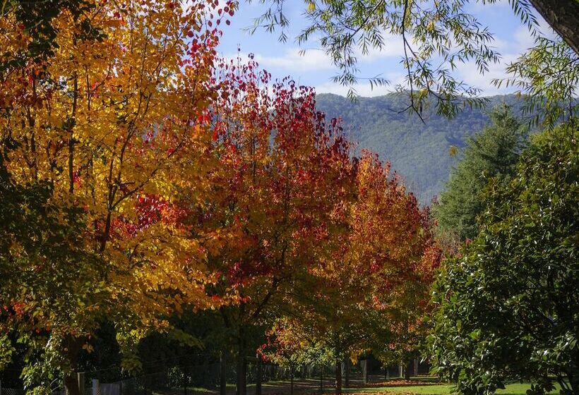 Bright Mystic Valley