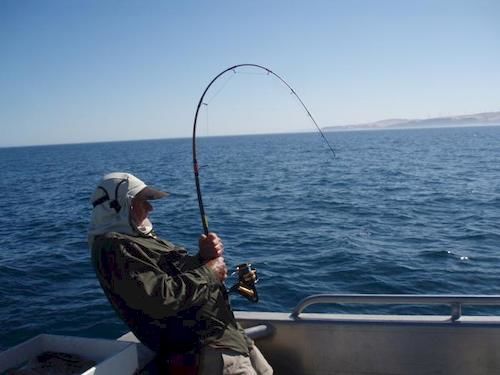 Cape Jervis Holiday Units