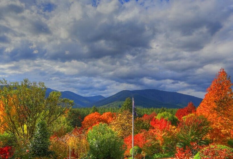 Chestnut Tree Holiday Units