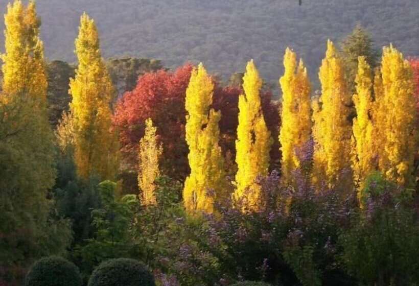 Chestnut Tree Holiday Units