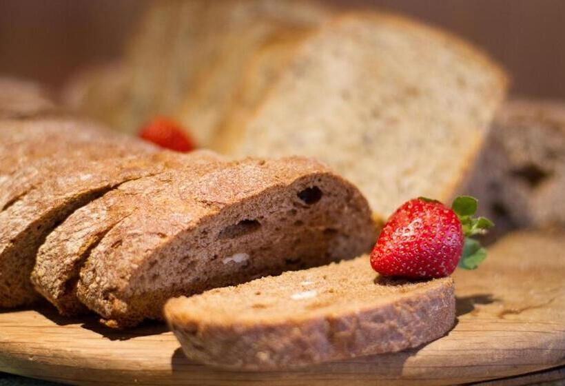 City Lodge Hotel At Or Tambo International Airport