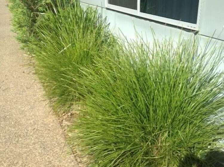 Direct Collective   Villas On Rivergum