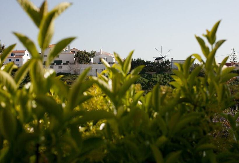 Ericeira Chill Hill Hostel & Private Rooms   Peach Garden