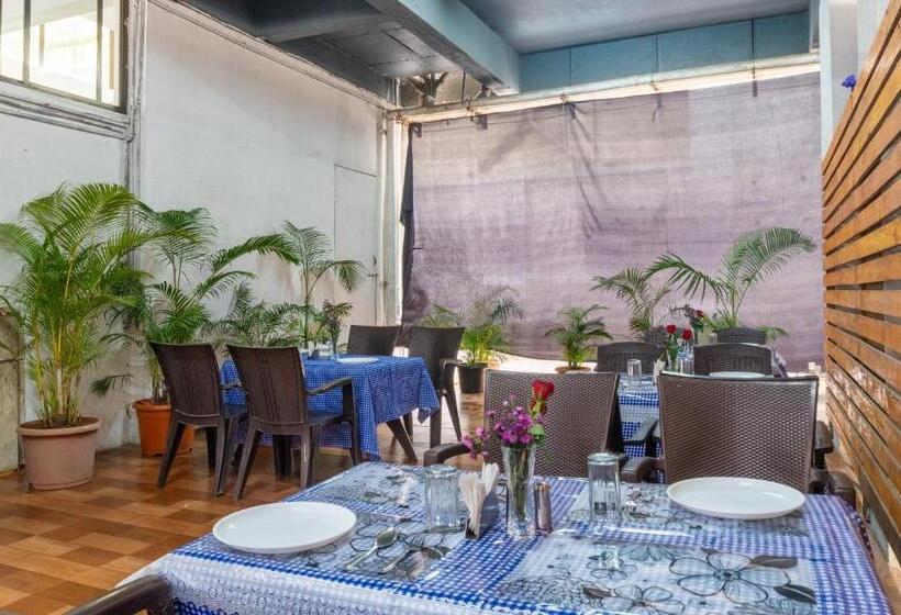 בית מלון כפרי Treebo Blossom   Viman Nagar