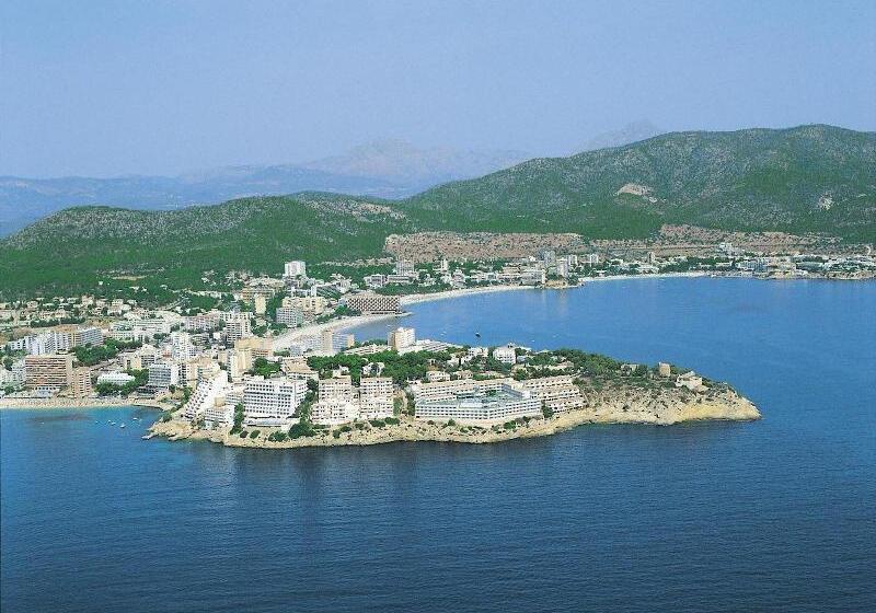 هاستل Hostal Floridita Adults Only