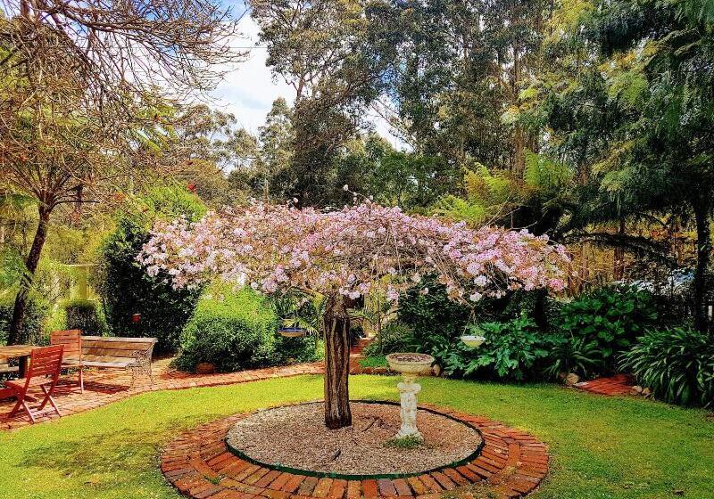 فندق Adamsons Riverside Accommodation