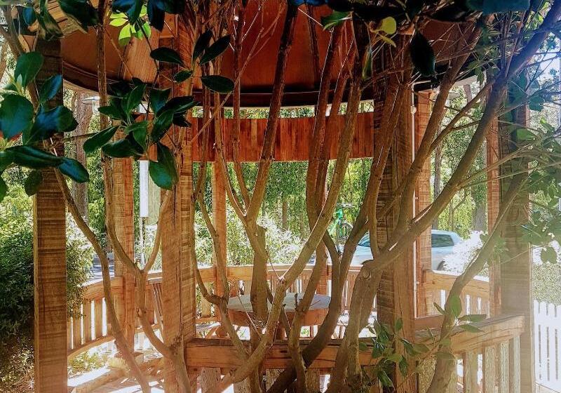 هتل Adamsons Riverside Accommodation