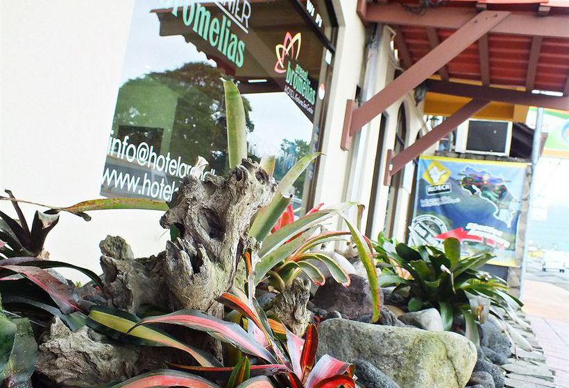 فندق Arenal Bromelias