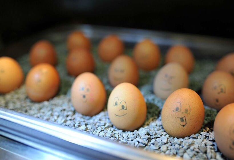 Best Western Plus Kurhotel An Der Obermaintherme