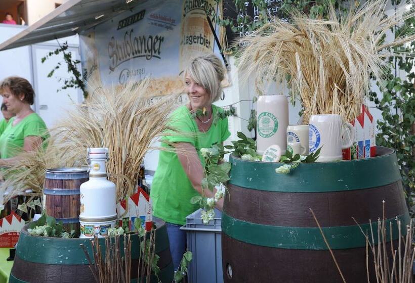 Best Western Plus Kurhotel An Der Obermaintherme