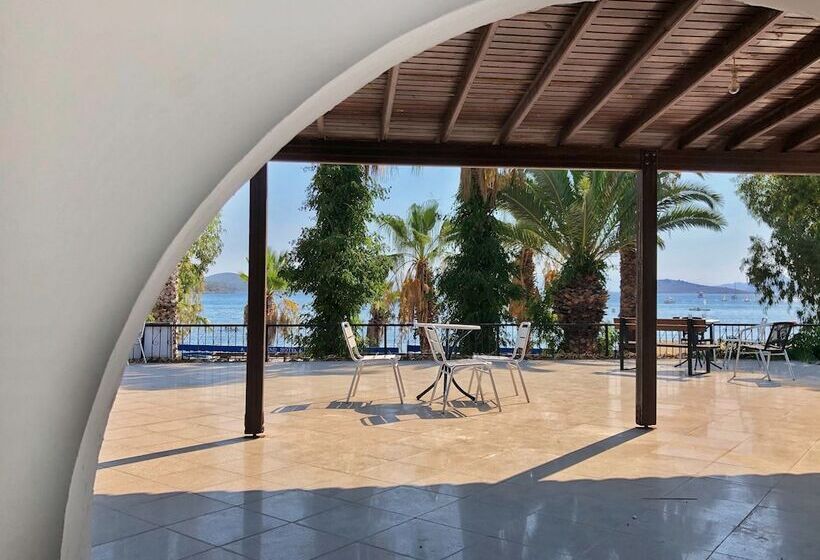 ホテル Bitez Deniz