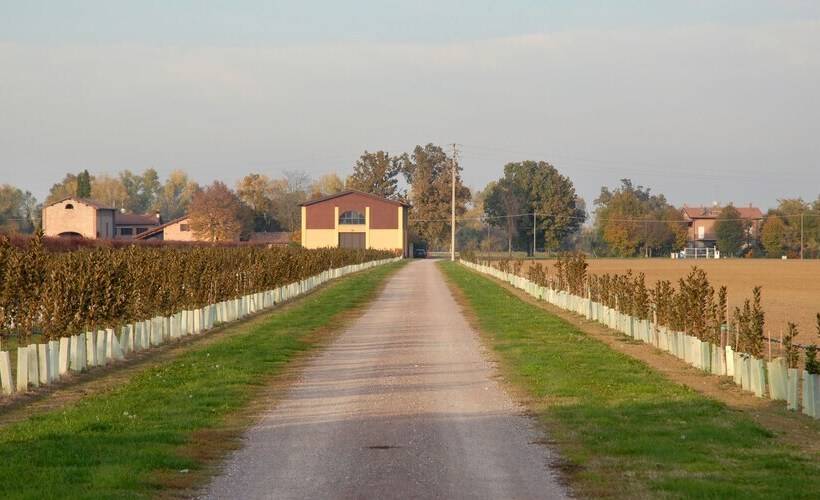 בית מלון כפרי Ca  Del Rio Resort