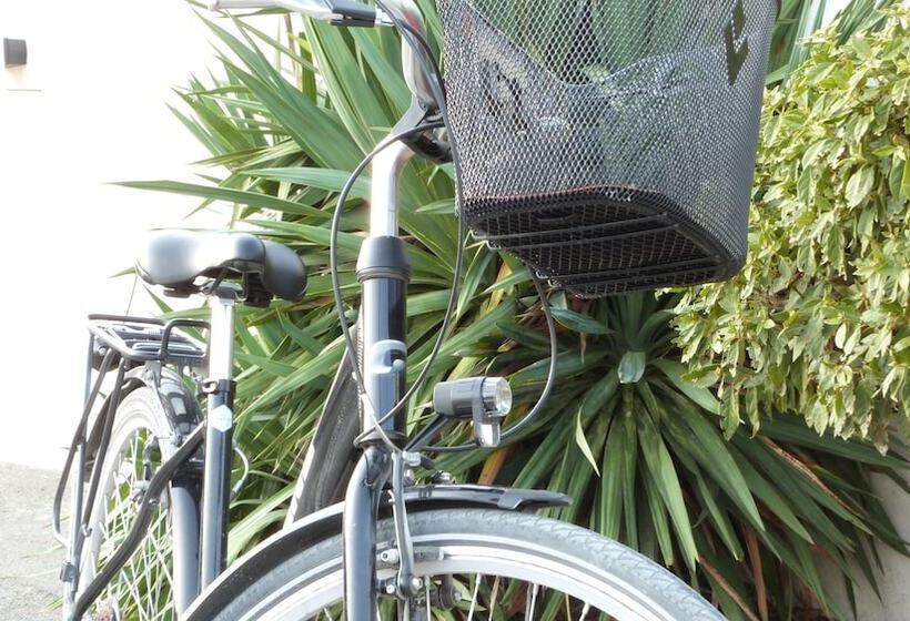 ホテル Elegance Suites