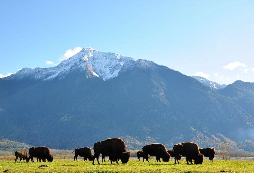 호텔 Fraser River Outpost Lodge