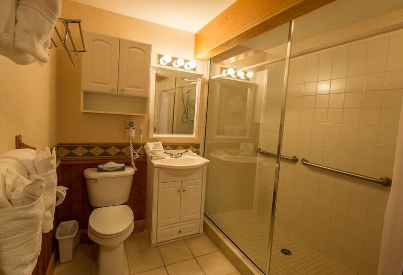 هتل Marys Lake Lodge Mountain Resort And Condos